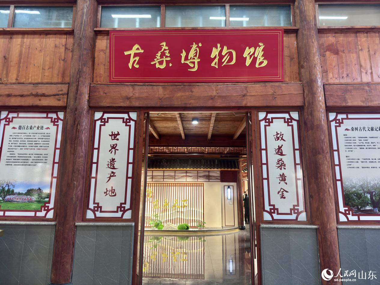 古桑博物館。人民網(wǎng) 鄭昕橋攝